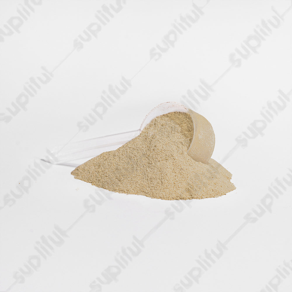 Advanced 100% Whey Protein Isolate Vanilla